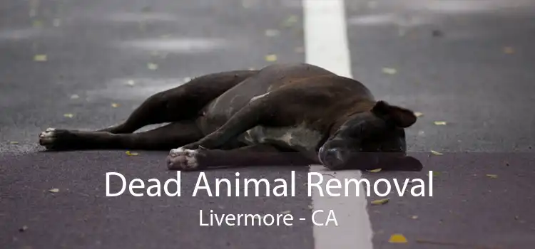 Dead Animal Removal Livermore - CA