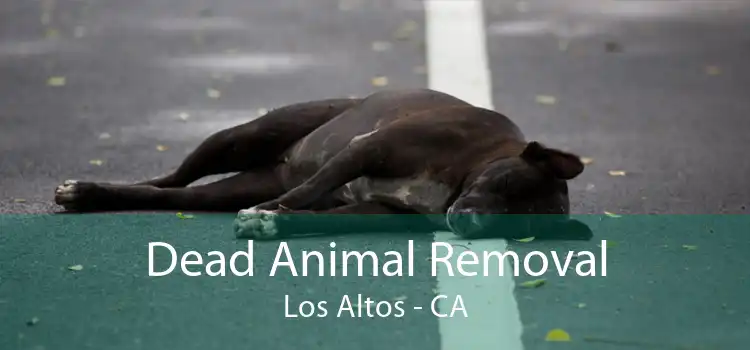 Dead Animal Removal Los Altos - CA