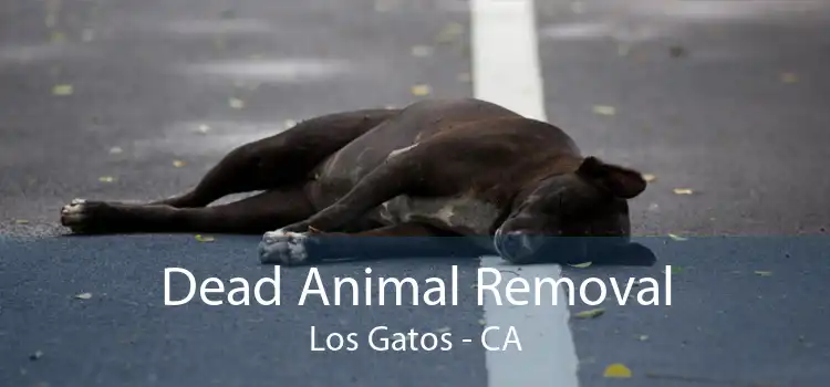 Dead Animal Removal Los Gatos - CA