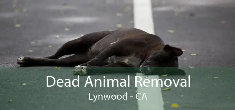 Dead Animal Removal Lynwood - CA