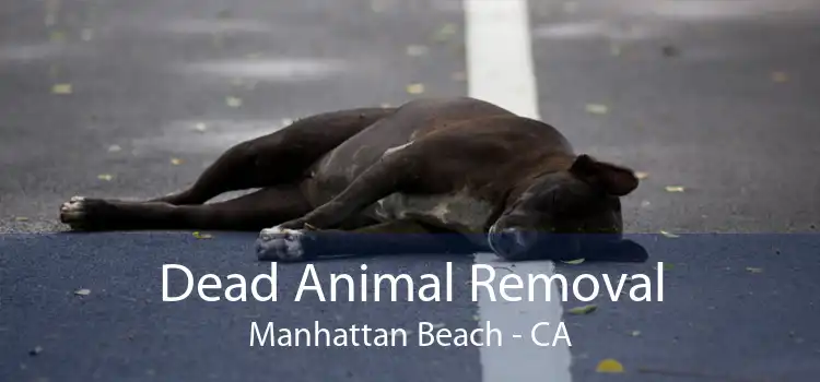 Dead Animal Removal Manhattan Beach - CA