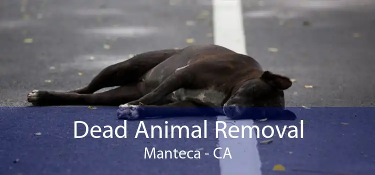 Dead Animal Removal Manteca - CA