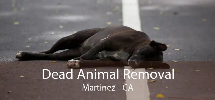 Dead Animal Removal Martinez - CA