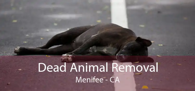 Dead Animal Removal Menifee - CA