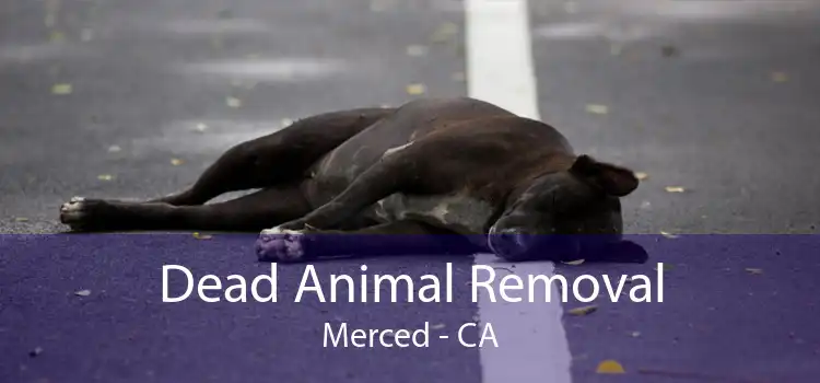 Dead Animal Removal Merced - CA