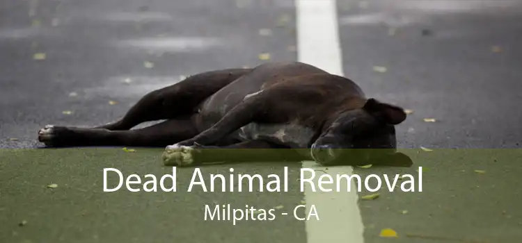 Dead Animal Removal Milpitas - CA