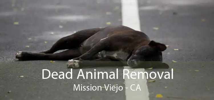 Dead Animal Removal Mission Viejo - CA