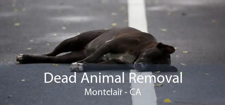 Dead Animal Removal Montclair - CA