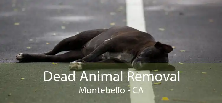 Dead Animal Removal Montebello - CA