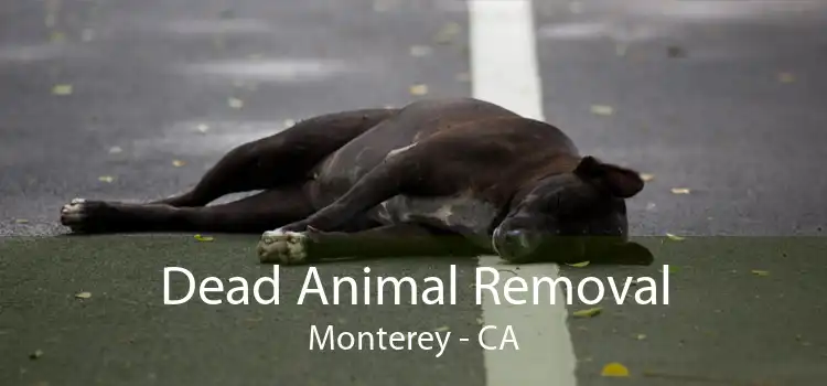 Dead Animal Removal Monterey - CA