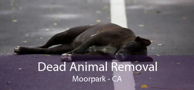 Dead Animal Removal Moorpark - CA