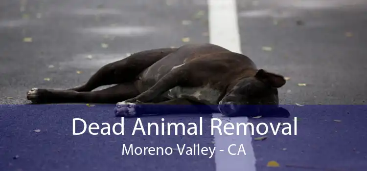 Dead Animal Removal Moreno Valley - CA