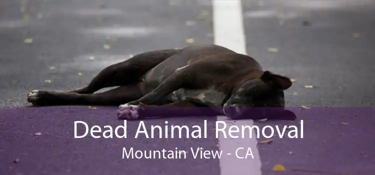 Dead Animal Removal Mountain View - CA