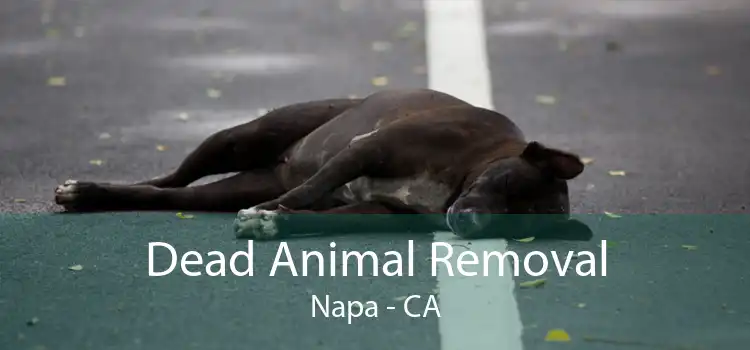 Dead Animal Removal Napa - CA