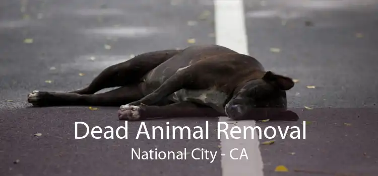 Dead Animal Removal National City - CA