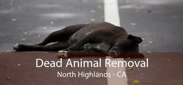 Dead Animal Removal North Highlands - CA
