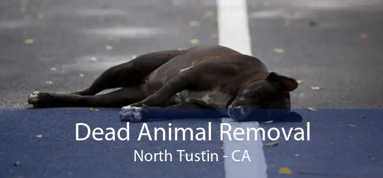 Dead Animal Removal North Tustin - CA