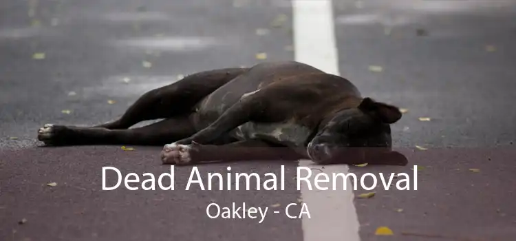 Dead Animal Removal Oakley - CA