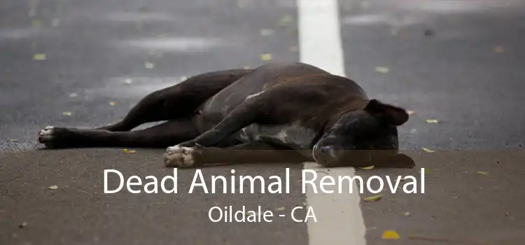 Dead Animal Removal Oildale - CA