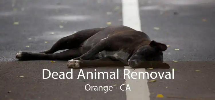Dead Animal Removal Orange - CA
