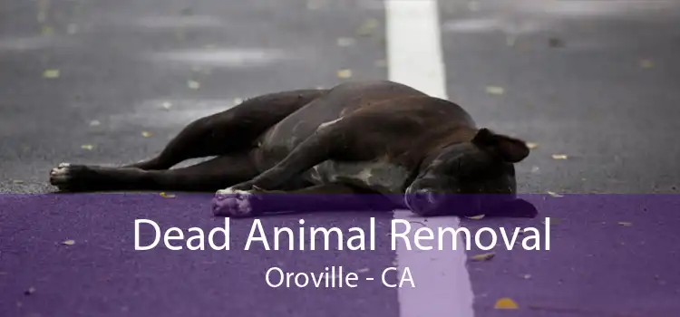 Dead Animal Removal Oroville - CA
