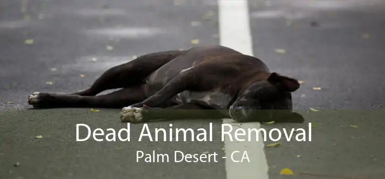 Dead Animal Removal Palm Desert - CA