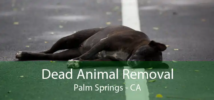 Dead Animal Removal Palm Springs - CA