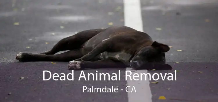 Dead Animal Removal Palmdale - CA