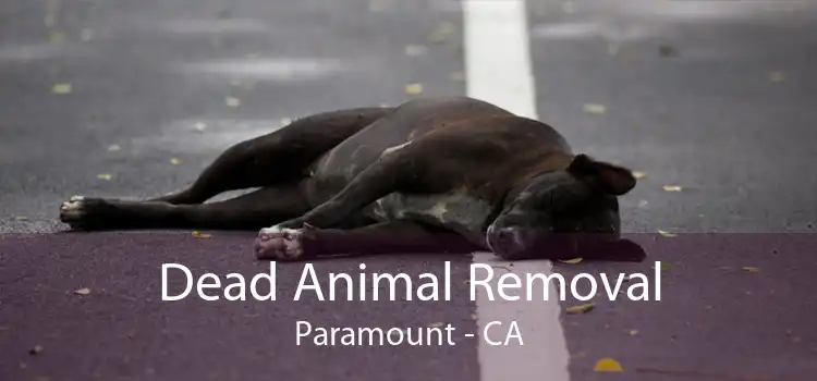 Dead Animal Removal Paramount - CA