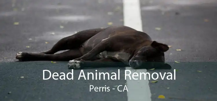 Dead Animal Removal Perris - CA