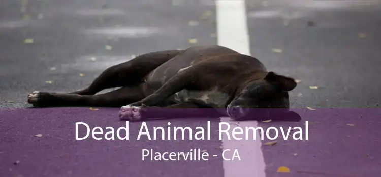 Dead Animal Removal Placerville - CA