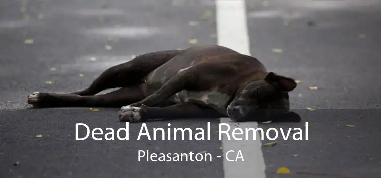 Dead Animal Removal Pleasanton - CA