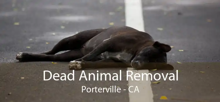 Dead Animal Removal Porterville - CA
