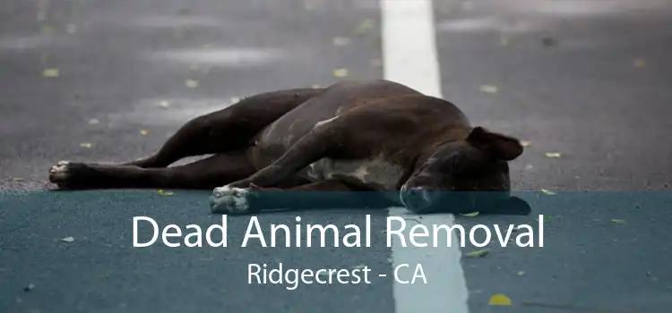 Dead Animal Removal Ridgecrest - CA