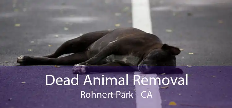 Dead Animal Removal Rohnert Park - CA