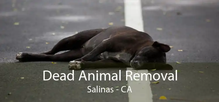 Dead Animal Removal Salinas - CA