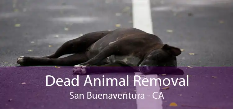 Dead Animal Removal San Buenaventura - CA