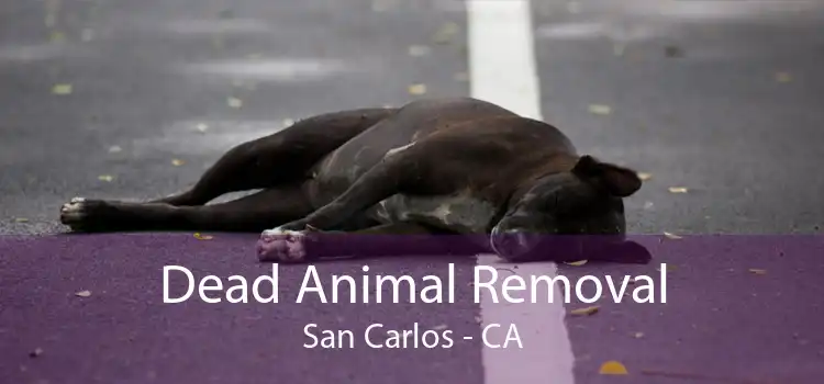 Dead Animal Removal San Carlos - CA