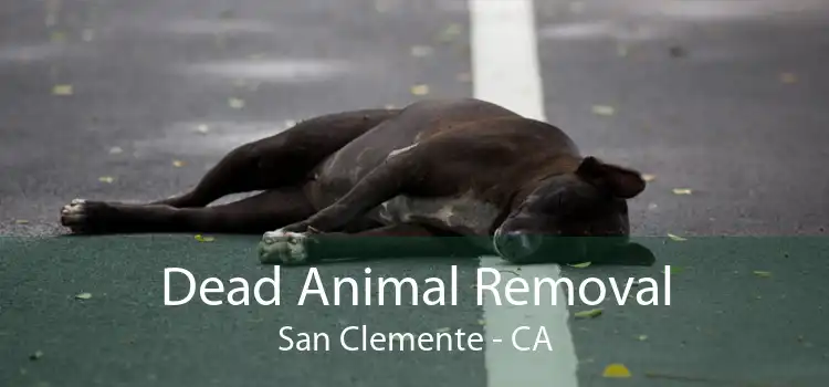 Dead Animal Removal San Clemente - CA
