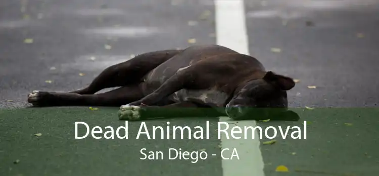 Dead Animal Removal San Diego - CA