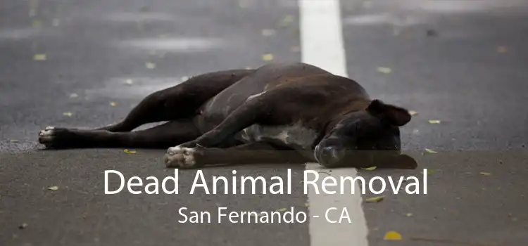 Dead Animal Removal San Fernando - CA