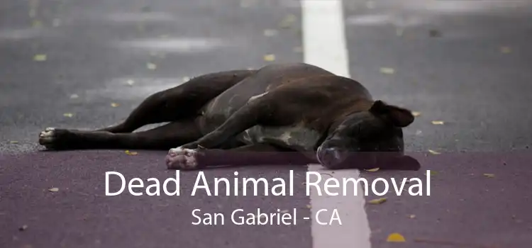 Dead Animal Removal San Gabriel - CA