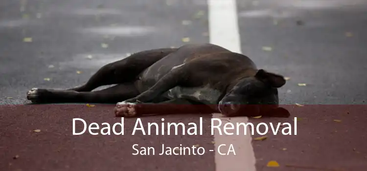 Dead Animal Removal San Jacinto - CA