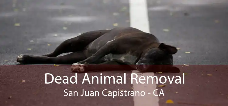 Dead Animal Removal San Juan Capistrano - CA