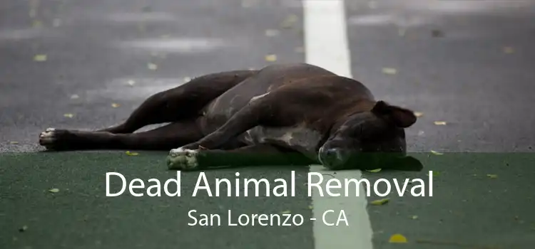 Dead Animal Removal San Lorenzo - CA