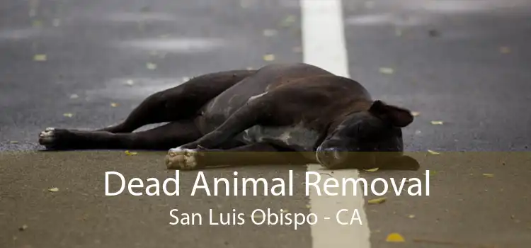 Dead Animal Removal San Luis Obispo - CA