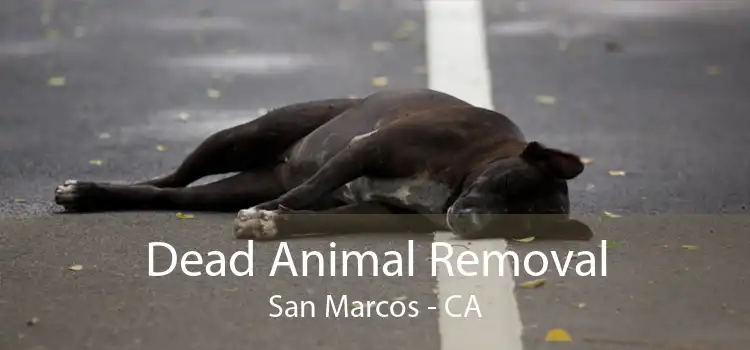 Dead Animal Removal San Marcos - CA