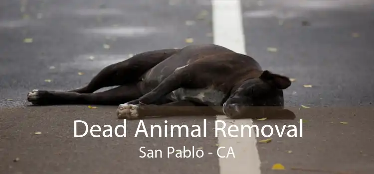Dead Animal Removal San Pablo - CA