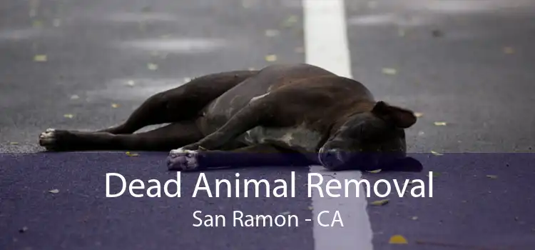 Dead Animal Removal San Ramon - CA