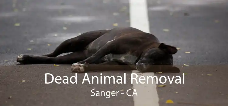 Dead Animal Removal Sanger - CA